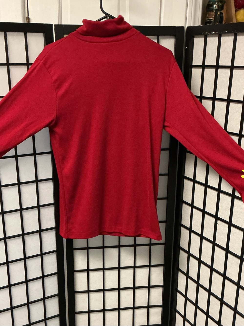 Men’s turtleneck top excellent condition